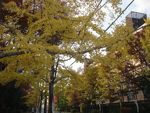 b0194872_22523175.jpg