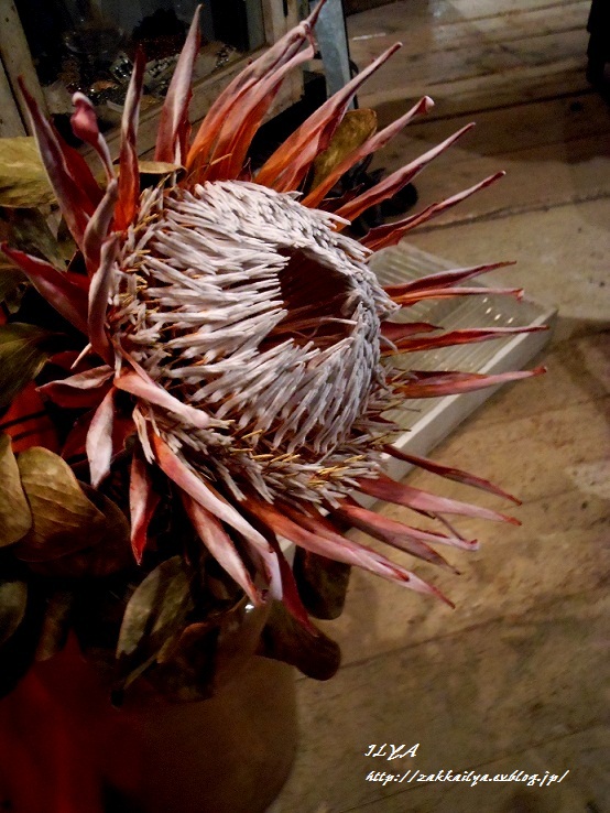 c0214272_20155133.jpg