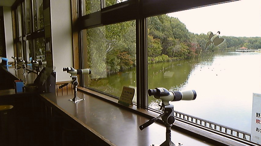 e0118274_10535423.jpg