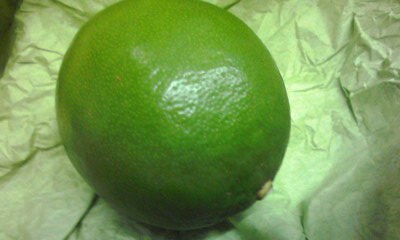 f0140174_0263398.jpg