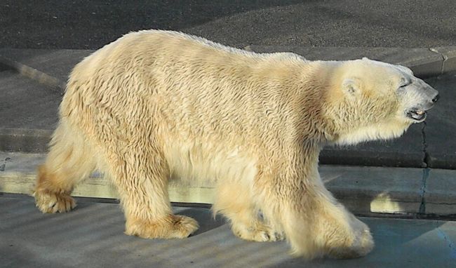 b0014576_652528.jpg