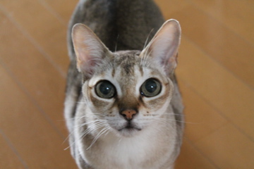 f0054677_995466.jpg