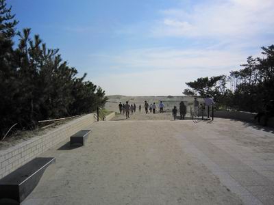 c0218879_8375544.jpg