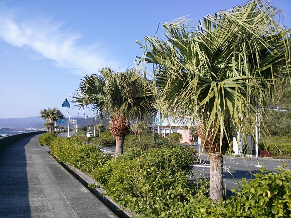 e0281680_072796.jpg