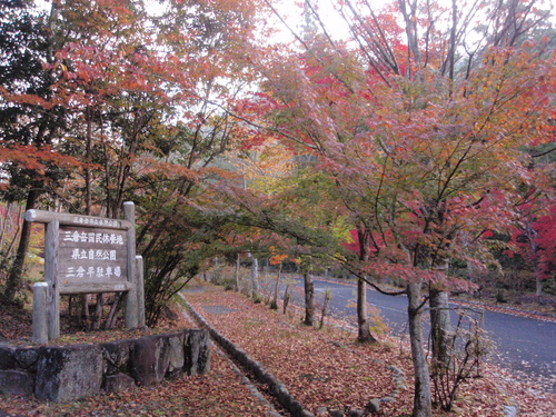 f0223480_17511543.jpg