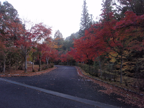 f0223480_17512435.jpg