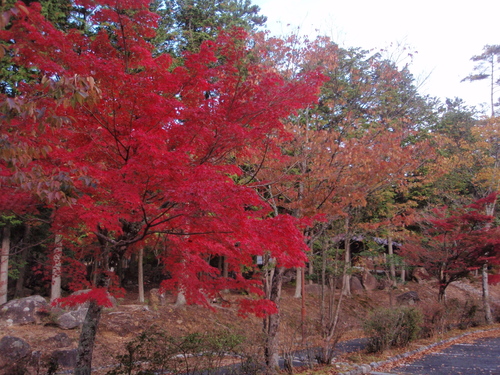 f0223480_17515565.jpg