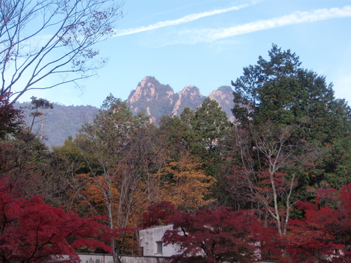 f0223480_1752815.jpg