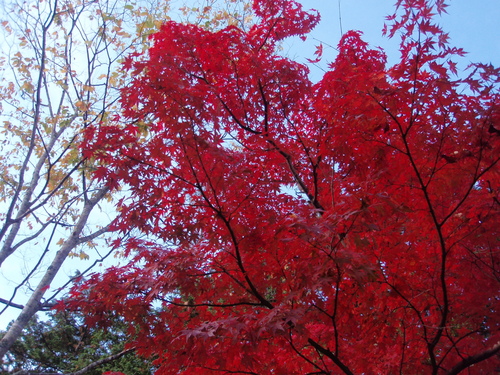 f0223480_17542199.jpg
