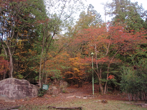 f0223480_17565869.jpg