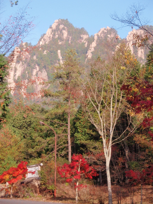 f0223480_17573740.jpg