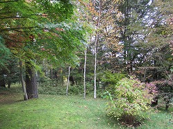 a0142083_10112538.jpg