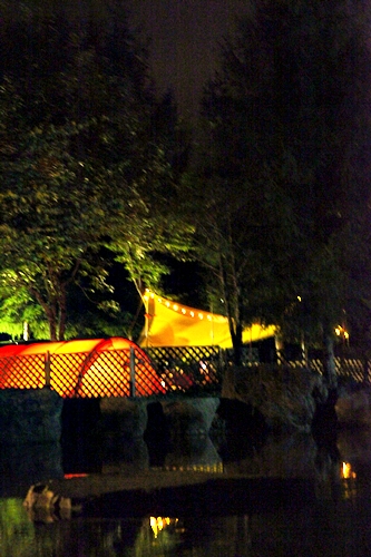 e0229992_15584321.jpg