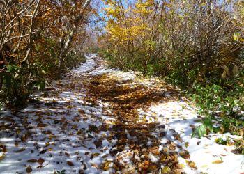 c0125996_13452100.jpg