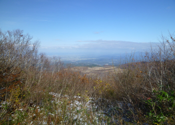 c0125996_13564532.jpg