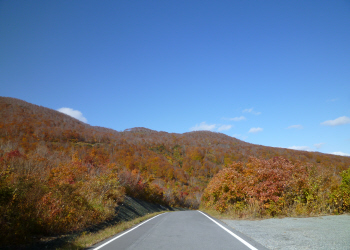 c0125996_1411186.jpg