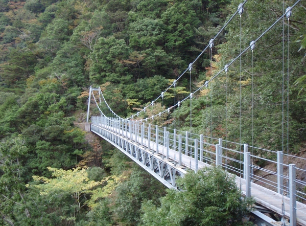 b0039898_190260.jpg