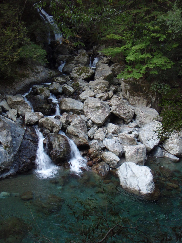 b0039898_1903713.jpg