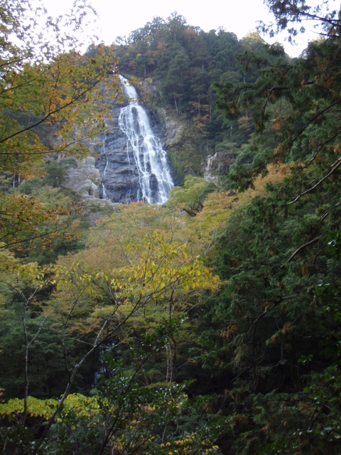 b0039898_191157.jpg