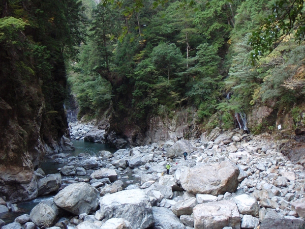 b0039898_1912838.jpg