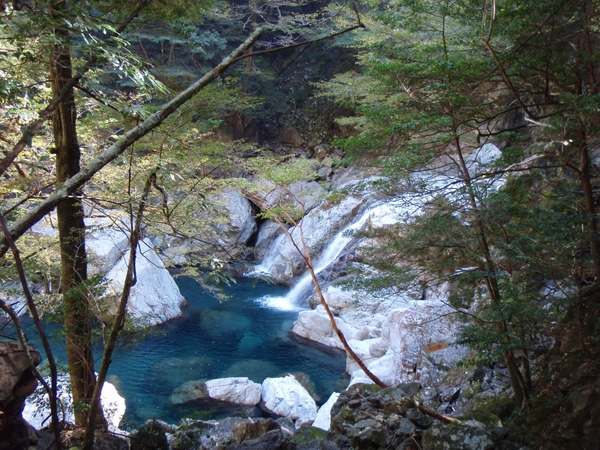 b0039898_1924265.jpg