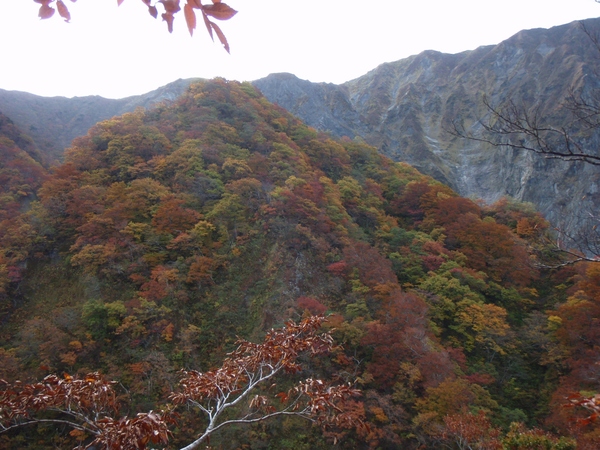 b0039898_21583573.jpg