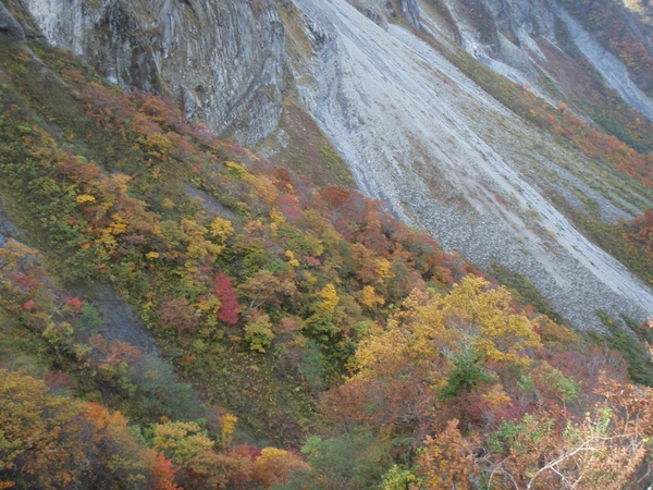 b0039898_21591285.jpg