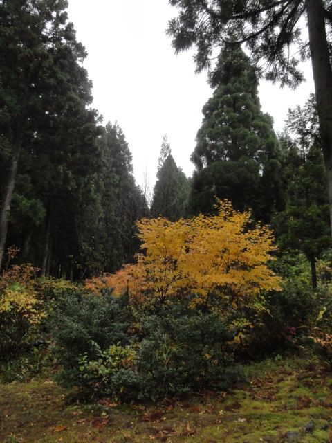 a0061599_7493835.jpg