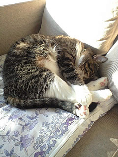 c0035001_1515566.jpg