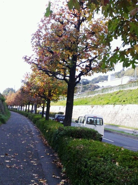 a0075802_23143818.jpg