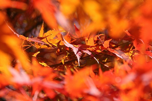 f0231904_2311999.jpg