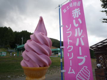 e0070606_143614.jpg