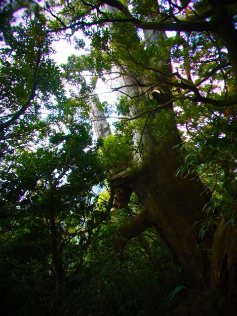 b0183911_0203550.jpg