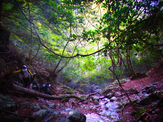 b0183911_020425.jpg