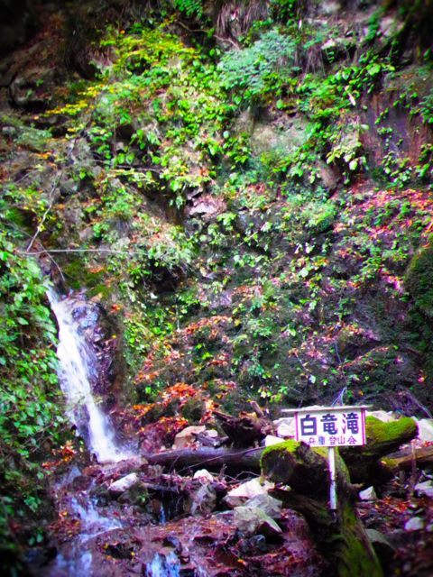 b0183911_0204644.jpg