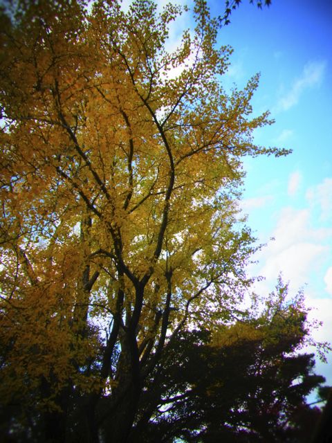 b0183911_020579.jpg