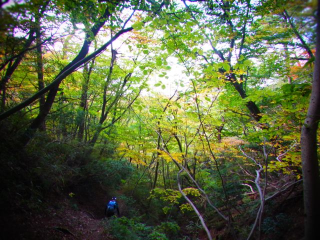 b0183911_029775.jpg