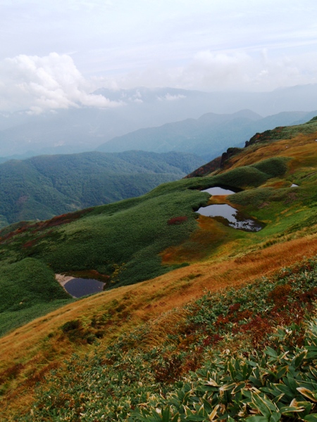 c0177814_18251794.jpg