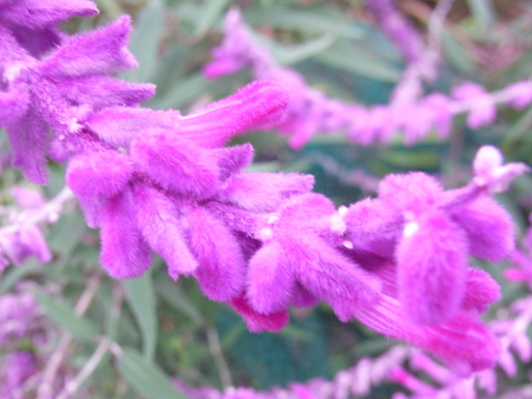 b0286321_8244935.jpg