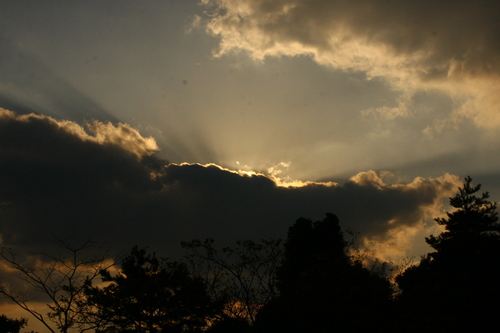 d0158028_17133772.jpg