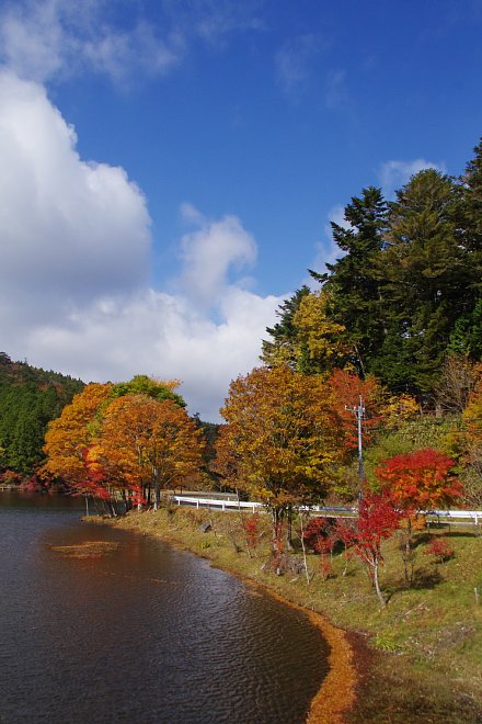 b0134829_9504417.jpg