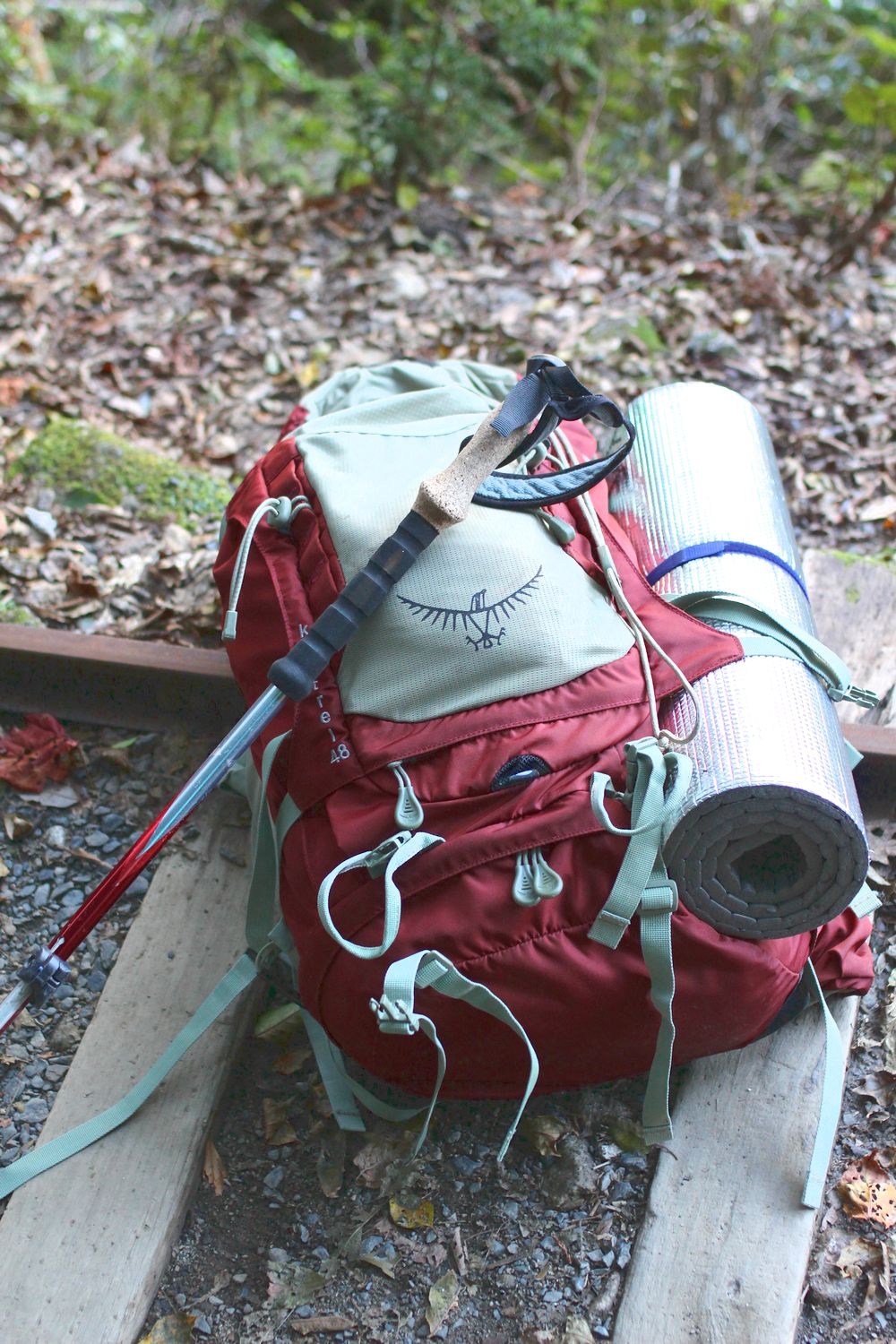 b0093830_11225534.jpg