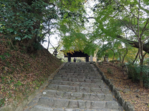a0129233_17491597.jpg