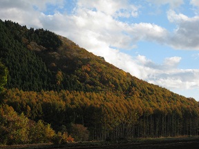 b0116933_9493937.jpg