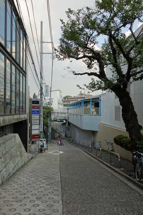 a0287336_9271064.jpg