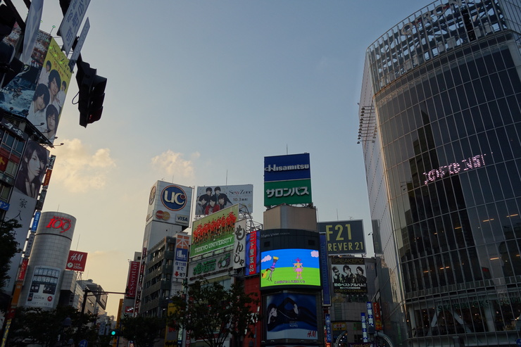a0287336_9511130.jpg
