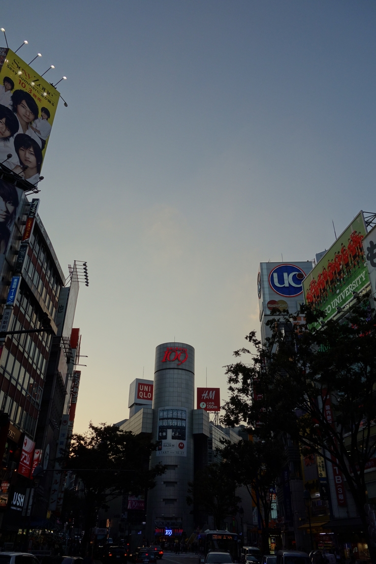 a0287336_9532415.jpg