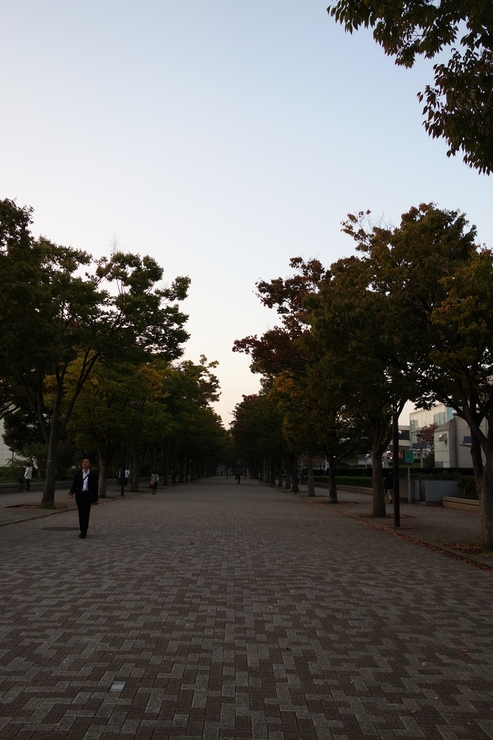 a0287336_9541453.jpg