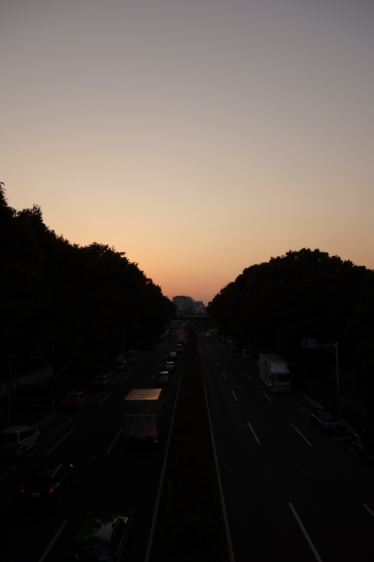 a0287336_955314.jpg