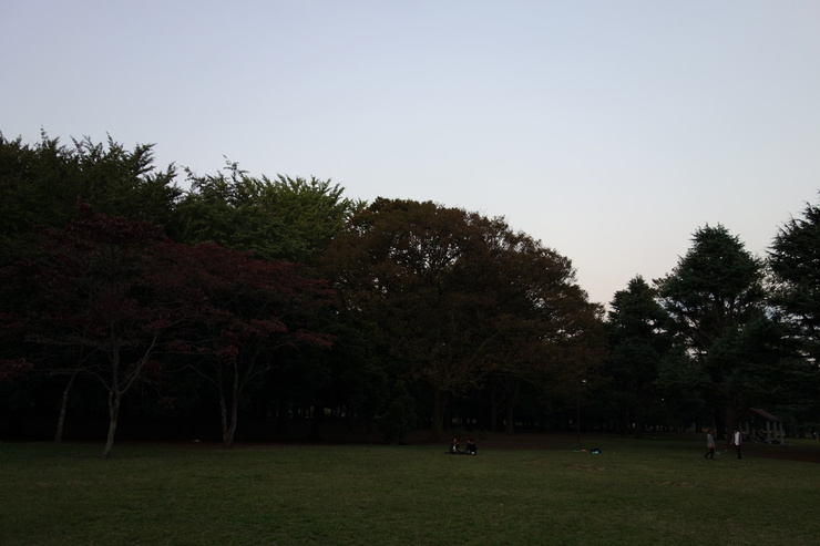 a0287336_9583355.jpg